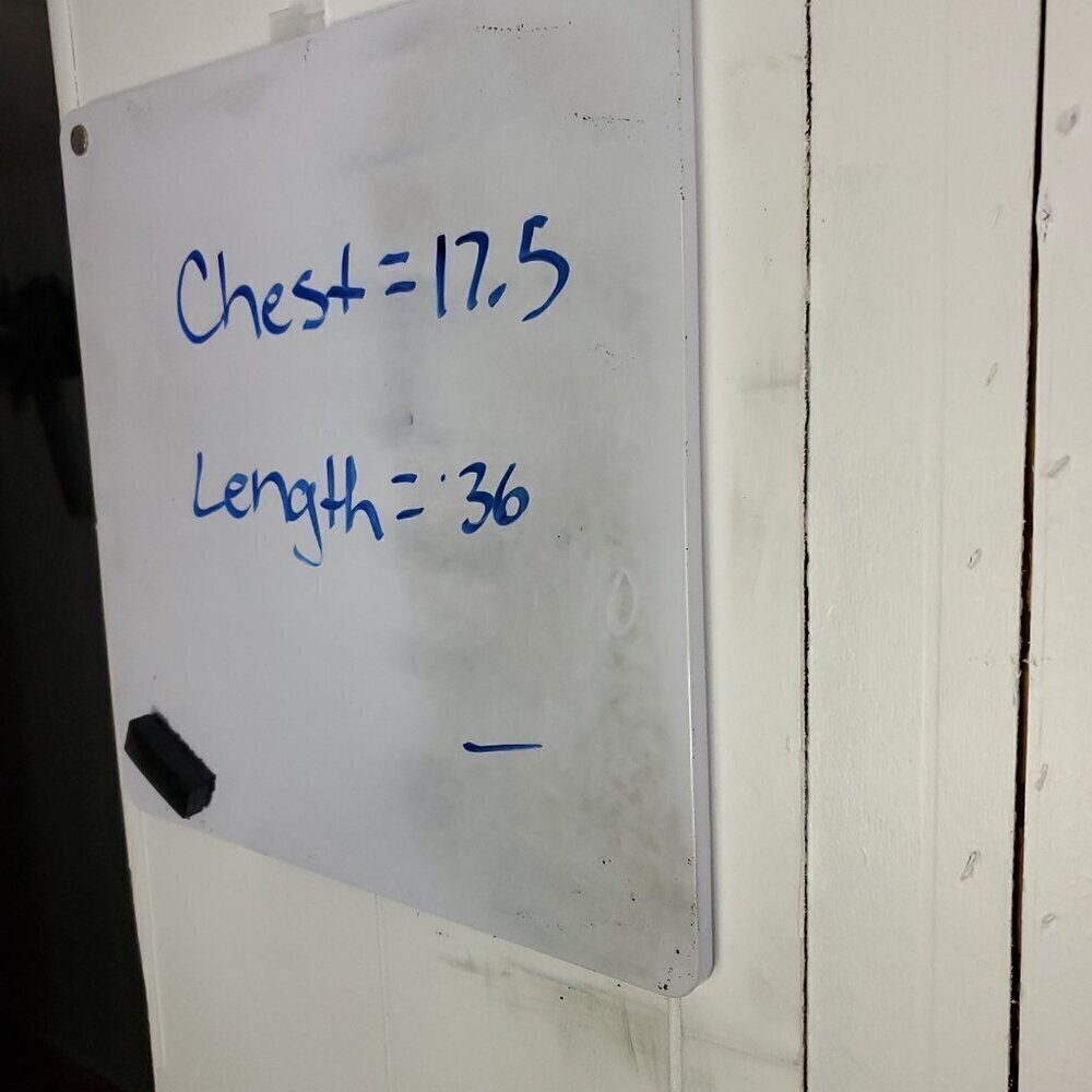 Gap Dress Womens 6 Hidden Zip Classic Black Staple Capsule Wardrobe LBD Lined - Picture 5 of 10